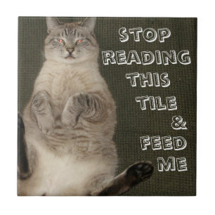 KATTE "STOPP READING THIS TILE & FÜTTRE ME" Tile Fliese