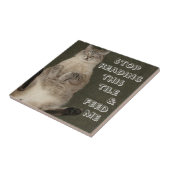 KATTE "STOPP READING THIS TILE & FÜTTRE ME" Tile Fliese (Seite)