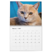 Katten Pip - Kalender 2020 (2) (Feb 2027)