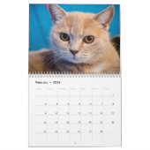 Katten Pip - Kalender 2020 (2) (Feb 2026)