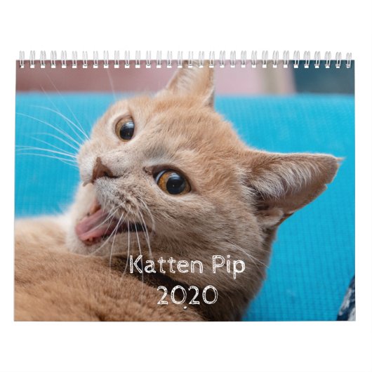 Katten Pip - Kalender 2020 (2) (Titelbild)