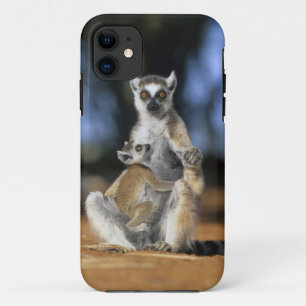 Kattenmaki, (Lemur catta), Mutter und Case-Mate iPhone Hülle