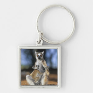Kattenmaki, (Lemur catta), Mutter und Schlüsselanhänger