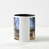 Kattenmaki, (Lemur catta), Mutter und Tasse (Zentrum)