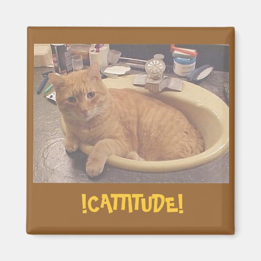 !KATTITUDE!, (Oder warum ich nicht reinigen kann) Magnet (Vorne)