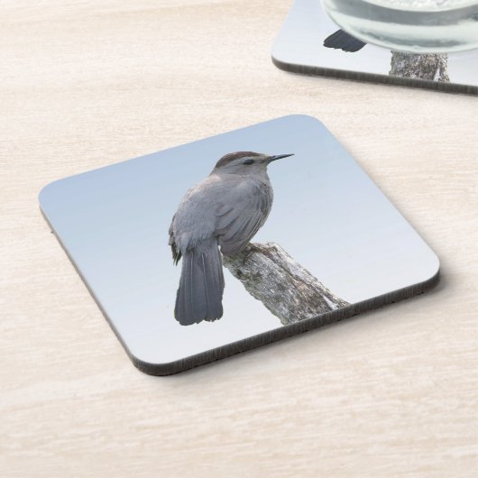 Katvogel Getränkeuntersetzer (Linke Seite)