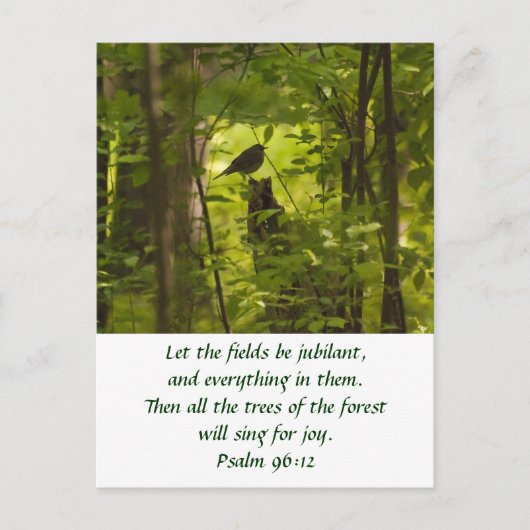 Katvogel im Waldgrün Postkarte (Vorderseite)