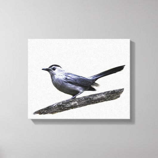 Katvogel Leinwanddruck (Vorderseite)