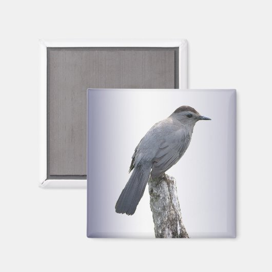 Katvogel Magnet (Vorderseite/Rückseite)