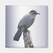 Katvogel Magnet (Vorne)