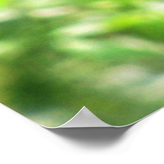 Katvogel Poster (Ecke)