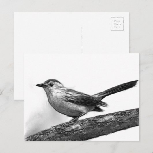 Katvogel Postkarte (Vorne/Hinten)