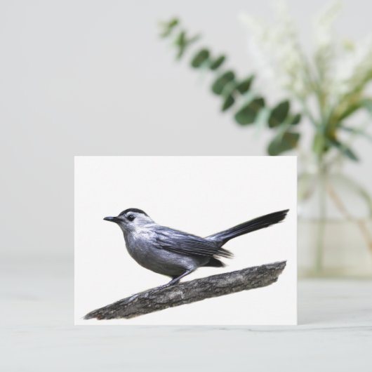 Katvogel Postkarte (Stehend Vorderseite)