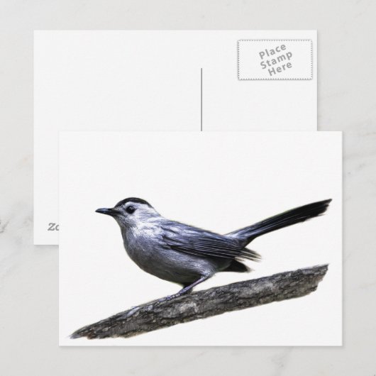 Katvogel Postkarte (Vorne/Hinten)