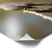 Katvogelfotografie Fotodruck (Ecke)