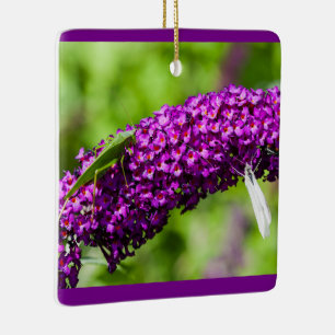 Katydid-Energie-Keramik-Ornament Keramikornament