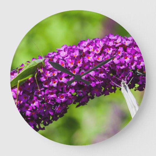 katydid energy große wanduhr (Vorderseite)