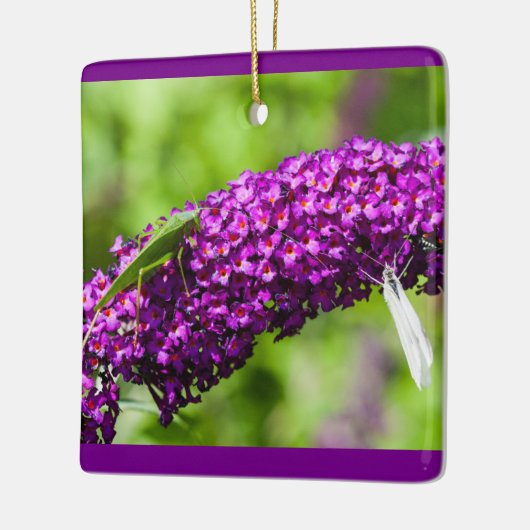 katydid Energy Keramik Keramikornament (Links)