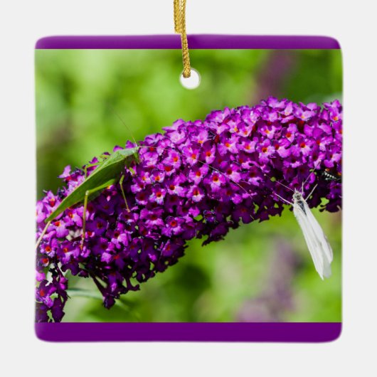 katydid Energy Keramik Keramikornament (Vorderseite)