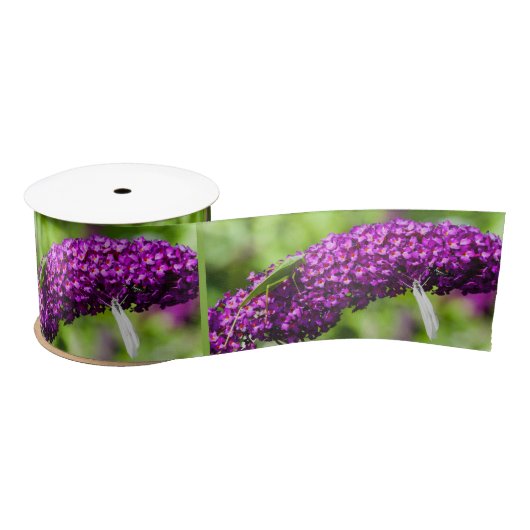 Katydid Energy Satin Band Satinband (Spule)