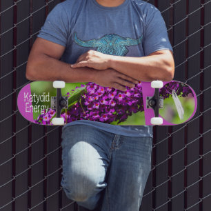Katydid Energy Skateboard