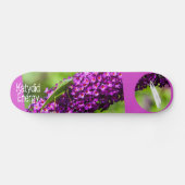 Katydid Energy Skateboard (Horizontal)