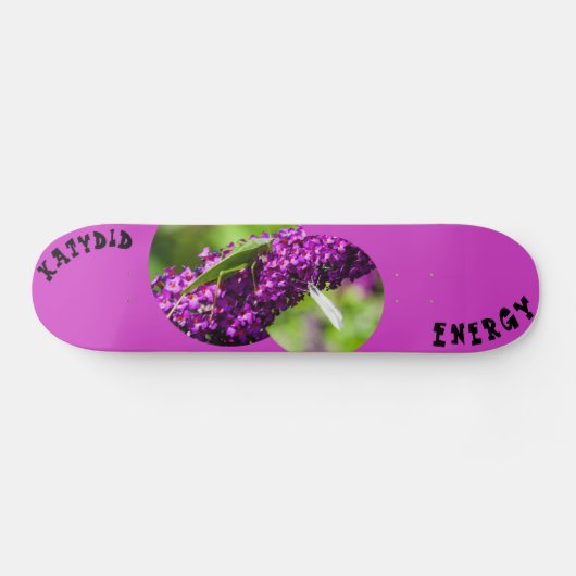 Katydid Energy Skateboard (Horizontal)