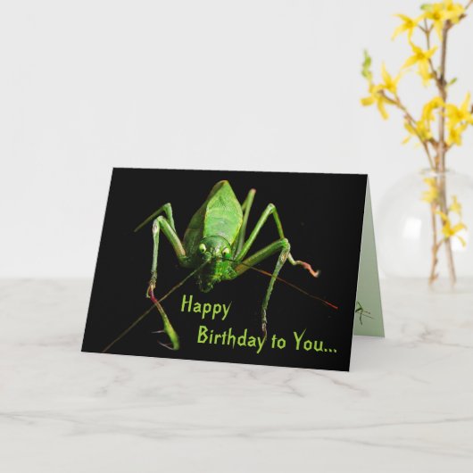 Katydid Geburtstag Karte (Gelbe Blume)