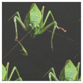 Katydid Gewebe Stoff (Nahaufnahme)