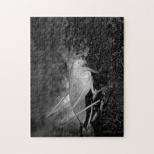 Katydid Grasshopper in Schwarz und Weiß Puzzle (Vertikal)