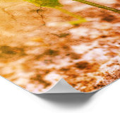 Katydid Grasshopper Insect Abstrakt Grunge Poster (Ecke)