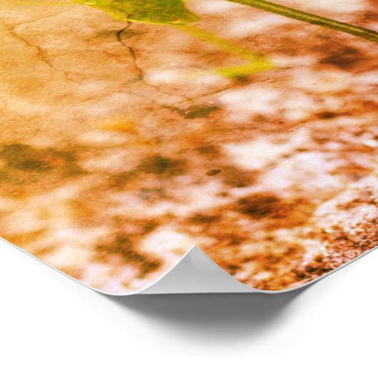 Katydid Grasshopper Insect Abstrakt Grunge Poster (Ecke)