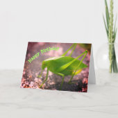 Katydid Grasshopper Nature Birthday Karte (Vorderseite)