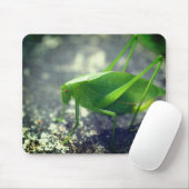Katydid Grasshopper Nature Mousepad (Mit Mouse)