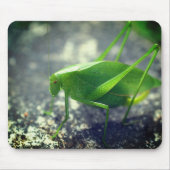 Katydid Grasshopper Nature Mousepad (Vorne)
