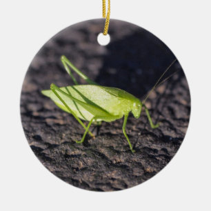 Katydid Keramikornament