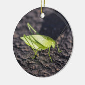 Katydid Keramikornament (Links)