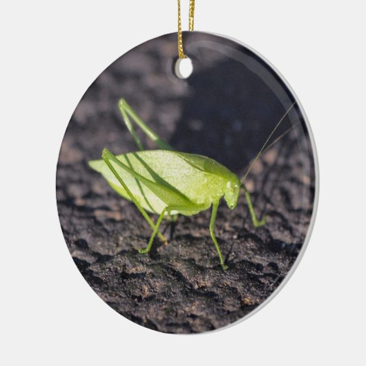 Katydid Keramikornament (Links)