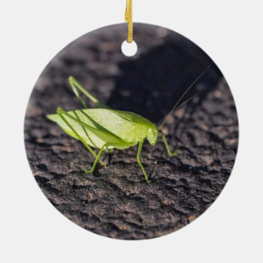 Katydid Keramikornament (Hinten)