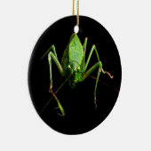 Katydid Keramikornament (Rechts)