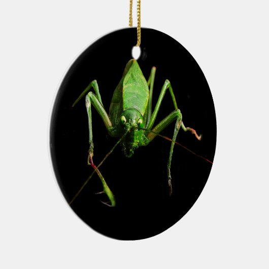 Katydid Keramikornament (Rechts)