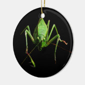 Katydid Keramikornament (Links)