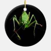 Katydid Keramikornament (Hinten)