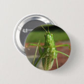 Katydid ~ Knopf Button (Vorne & Hinten)