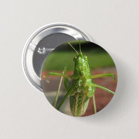 Katydid ~ Knopf Button (Vorne & Hinten)