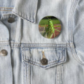 Katydid ~ Knopf Button (Beispiel)