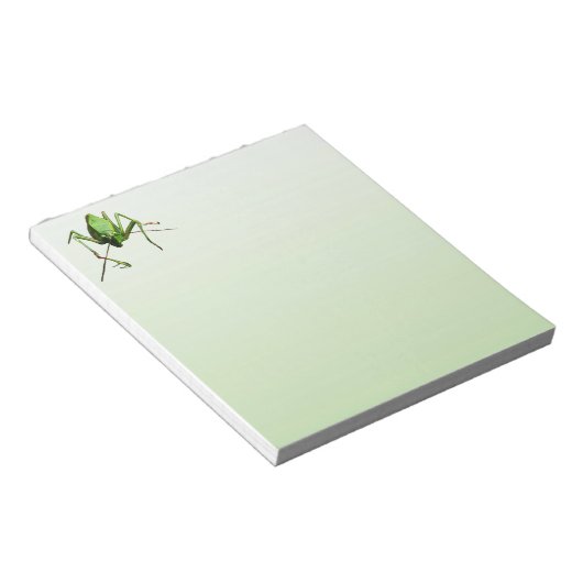 Katydid Notizblock (angewinkelt)