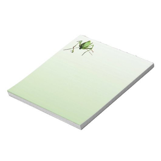 Katydid Notizblock (Rotiert)