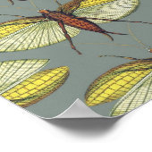 Katydid Poster (Ecke)