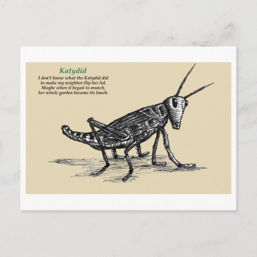 Katydid postkarte (Vorderseite)